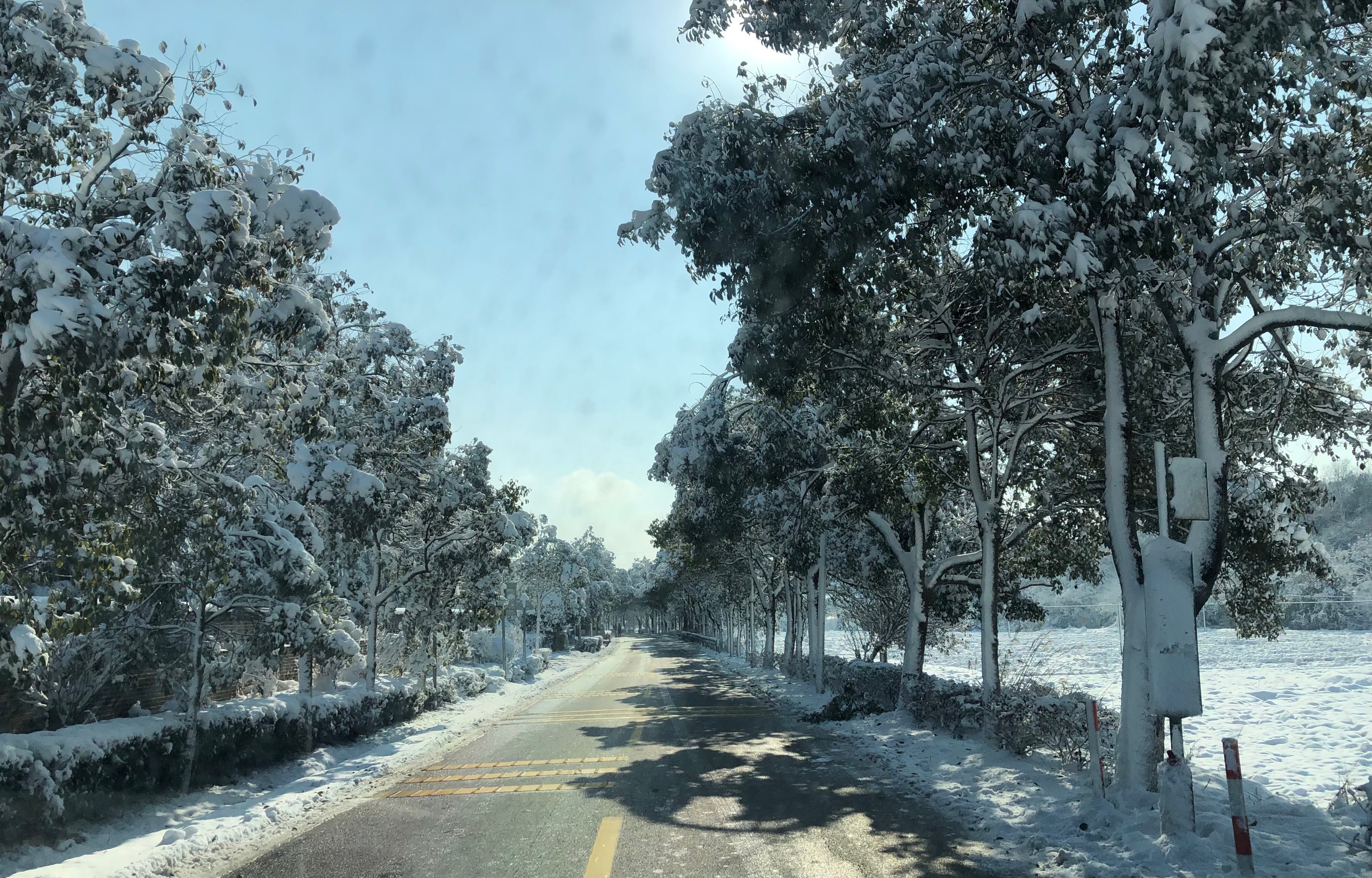 雪字壁纸图片