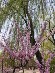 -爱儿美儿童摄影(五路居花园别墅店)