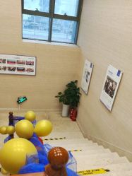 -碧莲盛·不剃发植发