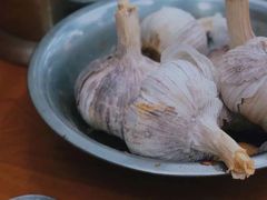 -回坊马二饺子馆