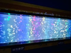 -烟台海昌鲸鲨海洋公园