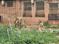-昆明动物园