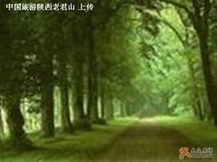 -商洛老君山旅游风景区