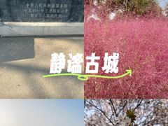 -汉长安城未央宫国家考古遗址公园