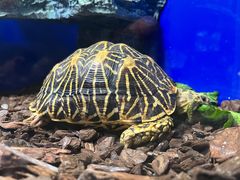 -上海海洋水族馆