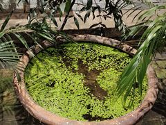 -董府·古宅餐厅