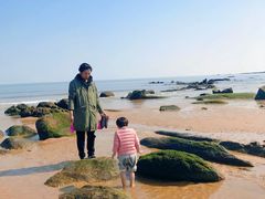 -巧克力渔家.小船海鲜胶东菜(万平口店)