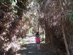 -夏威夷火山国家公园