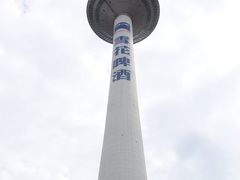 -辽宁电视塔