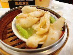 XO酱蒸鲜鱿-凤城酒家(渣华道)