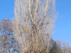 -张掖大佛寺景区