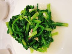 鸡毛菜百叶-新吉士·上海菜(浦东LCM置汇旭辉店)