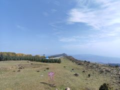 -草原天路(张北县)