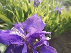 -廊坊文化艺术中心