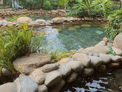 -融汇温泉