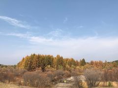 -塞罕坝国家级自然保护区