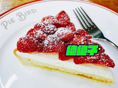 -Pie Bird(新闸路店)