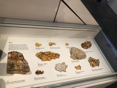 -墨尔本博物馆(Melbourne Museum)