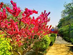 -元大都城垣遗址公园