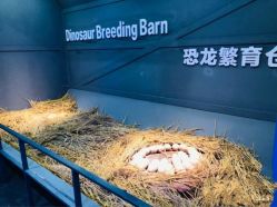 -恐龙探索乐园(磁器口店)