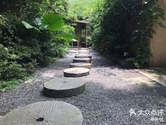 -乐领拈花溪·林涧食韵