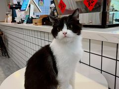 -有何Book(六堰体育馆店)