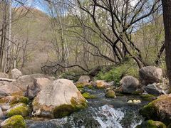 -玉渡山自然风景区