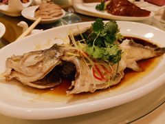-九花山烤鸭店