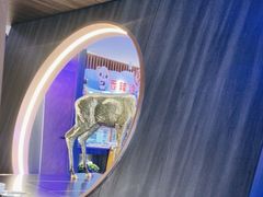 -额尔敦传统涮(公园西路店)