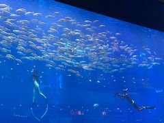 -成都浩海立方海洋公园