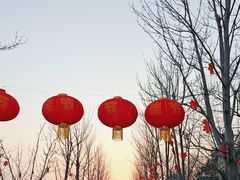 -沙澧河风景区