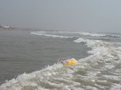 -日照海滨国家森林公园