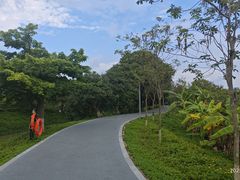 -长洲岛