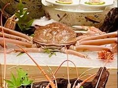 -上井料理黑金店(IFS国金中心店)