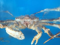 -海儀美食楼(湾仔海鲜街店)