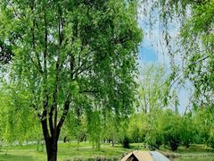 -两河城市森林公园