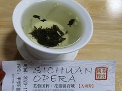 -芙蓉国粹川剧变脸秀(省川剧院)