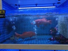 -大海湾酒楼(人南店)