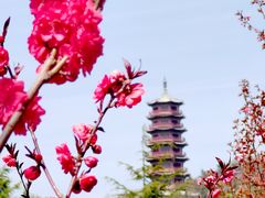 -石岛赤山风景区