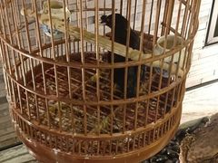 -小厨娘淮扬菜(六合欢乐港店)