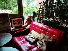 -咖法森林·咖啡  酒吧(天河店)