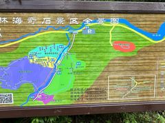 -汤旺河林海奇石景区