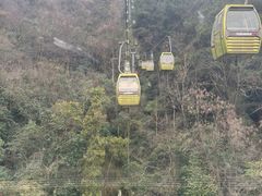 -黔灵山公园