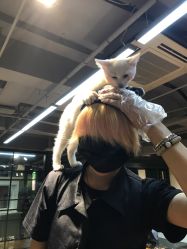 -HMC美容按摩SPA馆