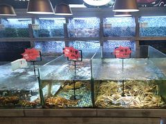 -上座·餐厅(阳光100店)