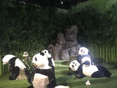 -成都泰迪熊博物馆