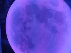 -天津梵高星空艺术馆(天河城旗舰店)