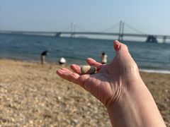 -星海广场