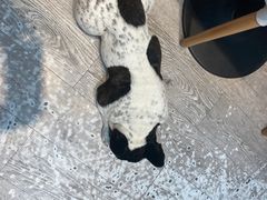 -小时光咖啡馆(北锣鼓巷店)