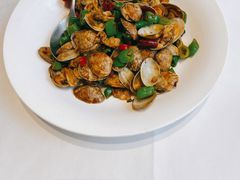 辣炒花蛤-万龙洲海鲜(大兴绿地缤纷城店)